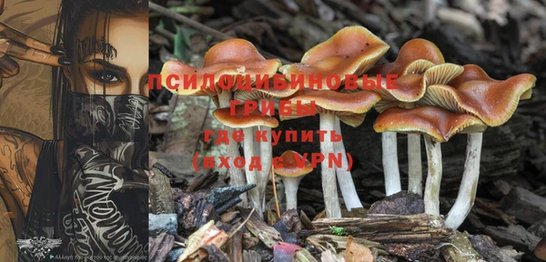 метадон Баксан